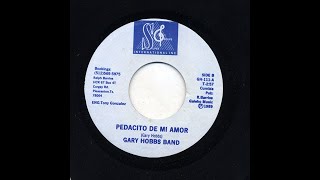 Gary Hobbs Band - Pedacito De Mi Amor - SGI gh-111-b