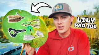 How To Fish LILY PADS For Bass! (Beginner To Advanced)