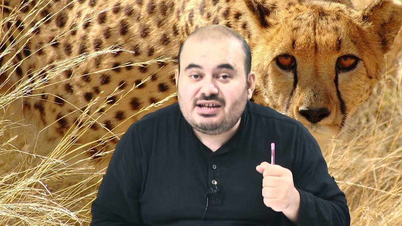 RÜYADA VAHŞİ HAYVAN GÖRMEK Esved Dini Rüya Tabirleri ve Yorumu Rüya Tabiri