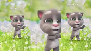 tổng hợp điệu nhảy vui nhộn của mèo TOM