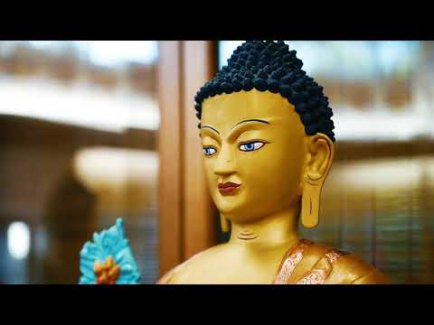 MEETING THE MEDICINE BUDDHAS