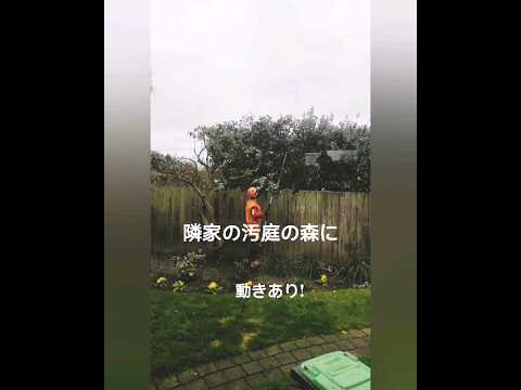 見下ろす庭を隣人と衝突せずに美しく隠すにはどうすればよいですか？  庭園