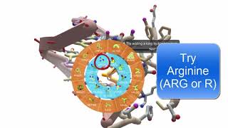 DNA and Protein