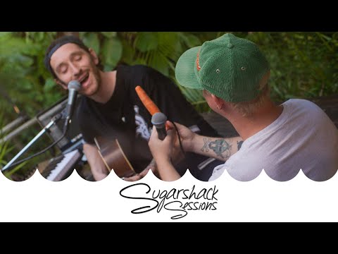Little Stranger - Brain Fog (Live Acoustic)