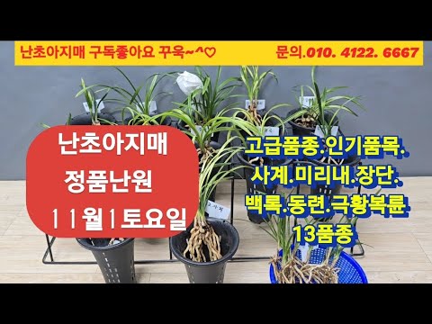 유튜브 썸네일