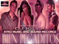 Pitjet Ft The Fire.-Bien Pegadito ( Dj killa & Ayko ).wmv