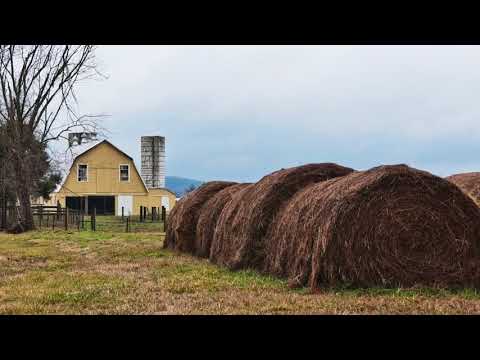 Protect Your Hay Investment: Hay Bale Storage Tips