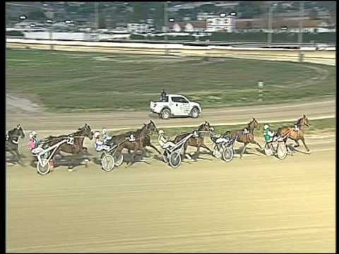 Trotto 19/02/2017 - 7ª corsa