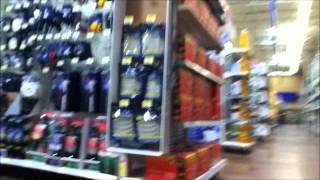 The Crowd - Cat Empire (And some fun)