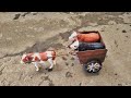 How To Make Bullock Cart From Wooden Sticks Creative Idea