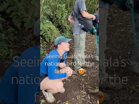 Face to Face with Guatemala’s Rarest Bird: On Accident #guatemala #travel #birdwatching #lakeatitlan