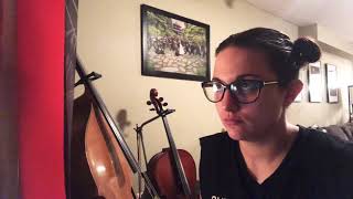 Ann Marie Castellano covers The Icicle Melts - The Cranberries