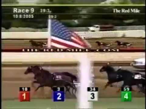 2005 Red Mile Lexington PEACEFUL WAY FFA Mare Trot Trevor Ritchie