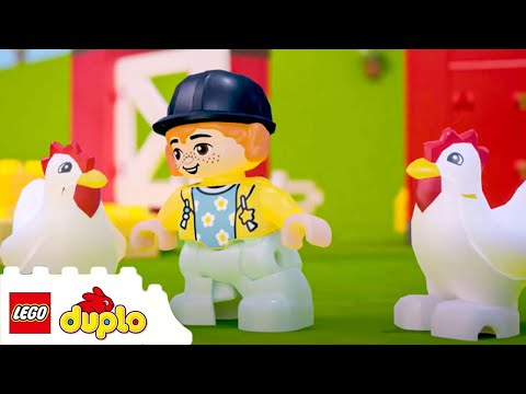 LEGO® DUPLO® Ūkio gyvūnų priežiūra (10949) video
