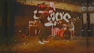 FEED A CAT TO YOUR COBRA H 264