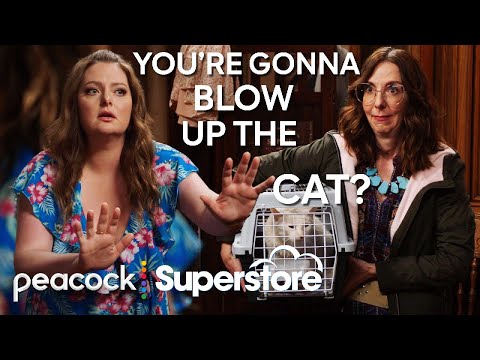 Like a Wang in the Wind - Superstore