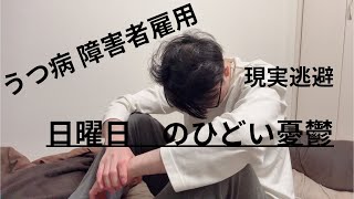 【うつ病 障害者雇用 元無職】日曜日の憂鬱、現実逃避について赤裸々にお話しします。