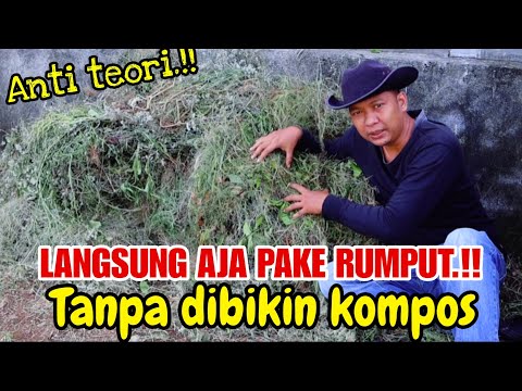 RUMPUT ADALAH PUPUK TERBAIK, BEGINI CARANYA !!