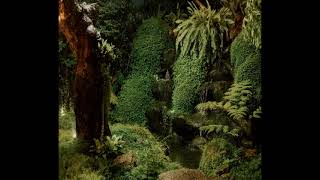 HD Sleep Sounds Rain - Peaceful Light Rain w/Birds for Sleeping, Relaxation, Lucid Dreaming 10 hrs