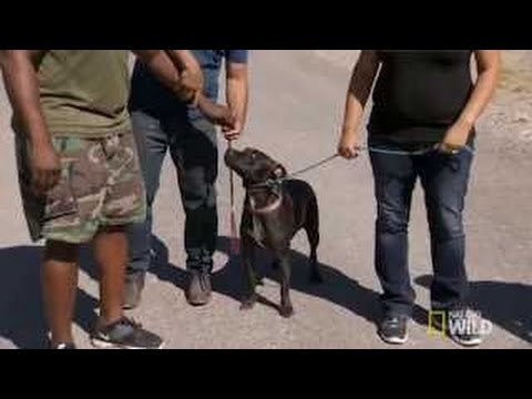 Cesar 911 S2 Episode 7 Follow-Up: Roxy