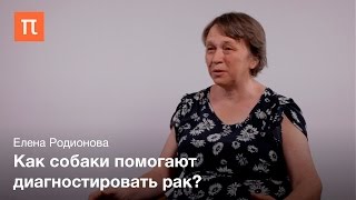 Диагностика заболеваний по запаху - Елена Родионова