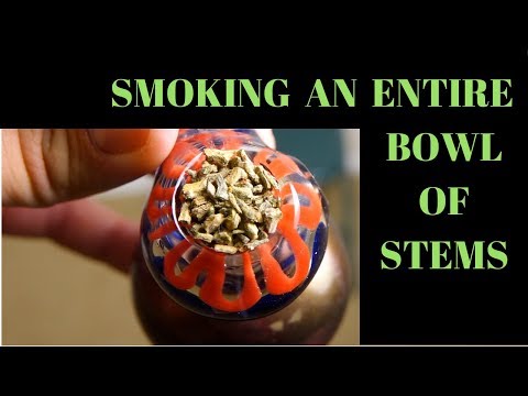 download lagu mp3 mp4 Smoking Seeds And Stems, download lagu Smoking Seeds And Stems gratis, unduh video klip Smoking Seeds And Stems