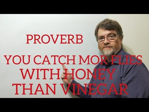 English Tutor Nick P Proverbs (68) You Catch More Flies With Honey Than Vinegar