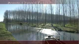 preview picture of video '2012-2013 Puntata #08 - Palude di Fucecchio - Anatidi'