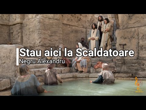 Negru Alexandru   Stau aici la scaldatoare