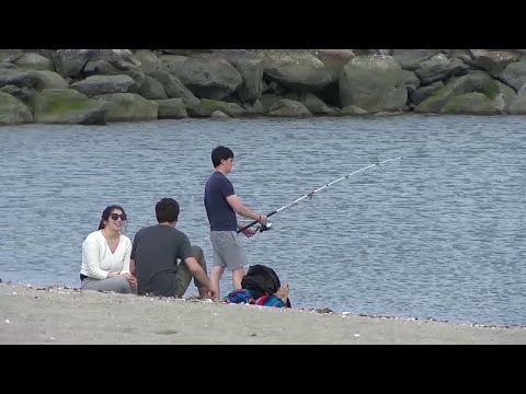 CT Summer Activities Expanded