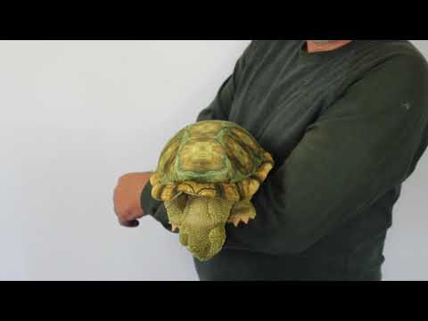 Tortoise, Standing Hand Puppet