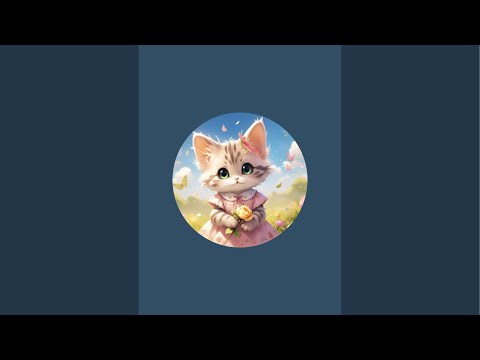 Cats with Nazia  is live
