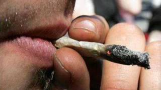 Bitza - N&#39;as fi vrut sa plec