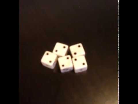 One roll Yahtzee