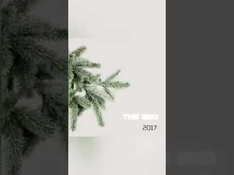 Обращение к подписчикам/Ермолинские котлеты/Покупки из дискаунтера Батон и магазин Хороший!!!