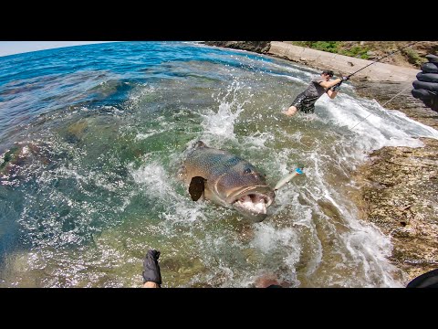 I Caught the Biggest Coral Trout in the World!