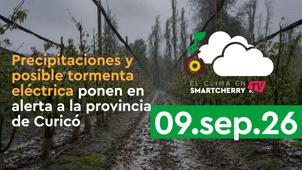 Alerta por lluvias, tormentas eléctricas y posibles granizos en Región del Maule