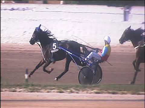 Trotto 20/09/2019 - 5ª corsa