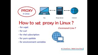 How to add proxy in Linux | proxy in Linux | How to set proxy in Linux