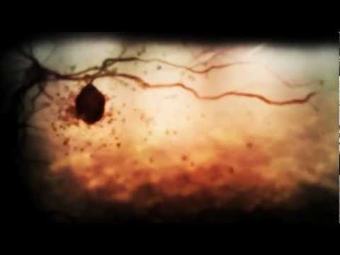 Tripped - couldn't find a title