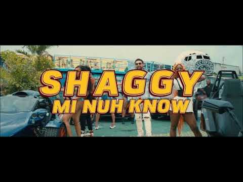 Mi Nuh Know Shaggy Remix (DJ King Justice)