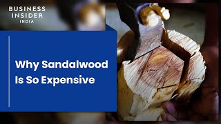 Why Sandalwood Is So Expensive | So Expensive