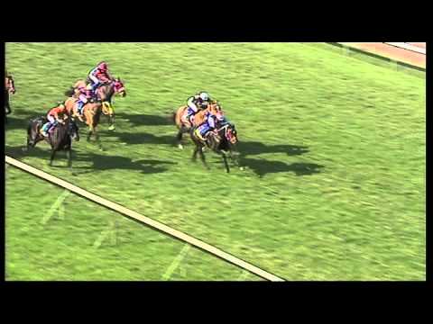 Clairwood 25082013 Race 6