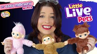 All Three Little Live Pets My Baby Monkey Minis - Comparison & Demo