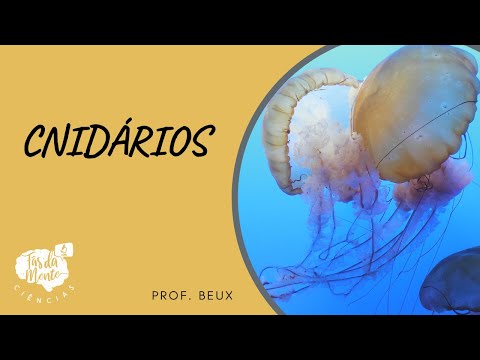 CNIDARIANS - Elementary School