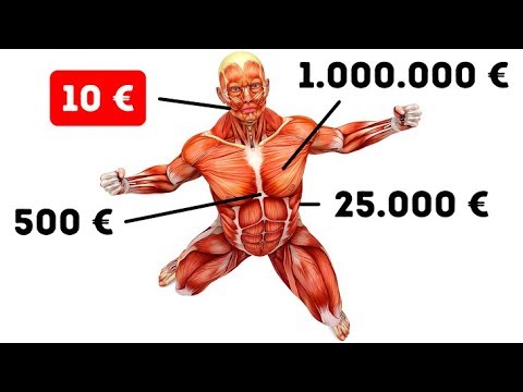 Eine Reihe von Übungen zur Wiederherstellung des Hüftgelenks Behandlung von Rückenübungen