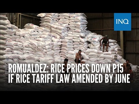 Romualdez: Rice prices down P15 if rice tariff law amended by June