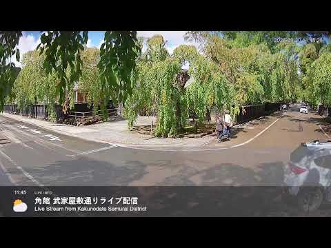 角館武家屋敷通りのライブカメラ映像