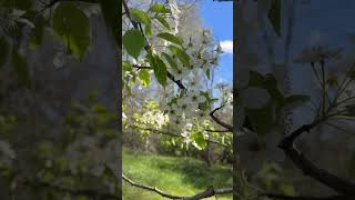 Spring is finally here!