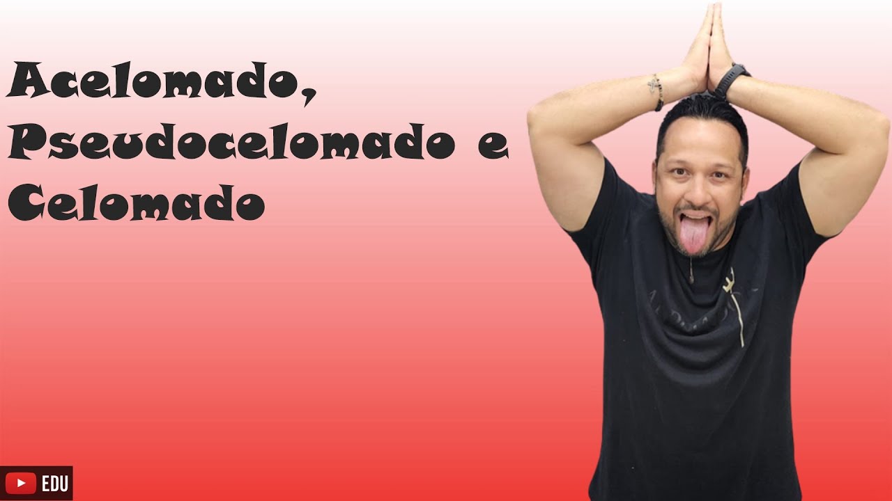 Acelomado, Pseudocelomado e Celomado - Formação do Celoma - Classificação dos Animais - Embriologia